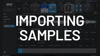 MEGA Sampler - Importing and Tagging | Plugin Alliance