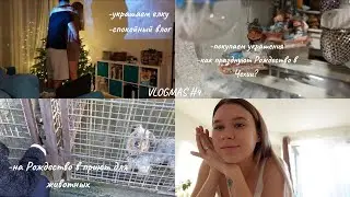 ВЛОГМАС 4 🎄 Украшаем дом к новому году, покупки. Как празднуют Рождество в Чехии?