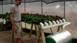 Hydroponic Lettuce Gardening Made Easy