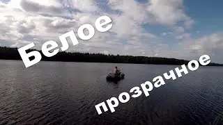 Fishing on spinning. The White Lake. June 2020.