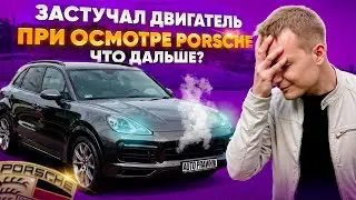 PORSCHE CAYENNE ЗА 300К: НЕОЖИДАННЫЕ ПРОБЛЕМЫ С ДВИГАТЕЛЕМ! АВТО ПОДБОР ПОЛЬША