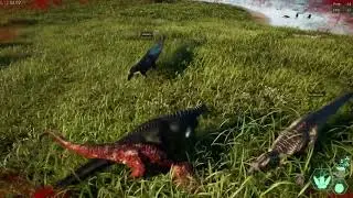 Stego got lucky   The Isle evrima gateway