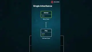 🎯 Master C++ Single Inheritance 🎯
