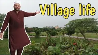 village life in pakistan | Goan ki routine | village life