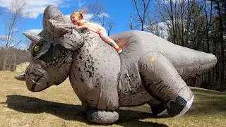 Avery and Dad play with Dinosaur