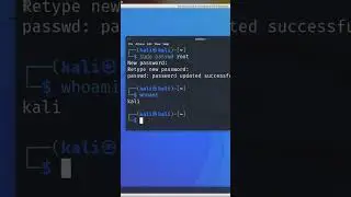 How to enable root login in kali Linux #kalilinux #linux #terminal #ethicalhacking #tips #hacking