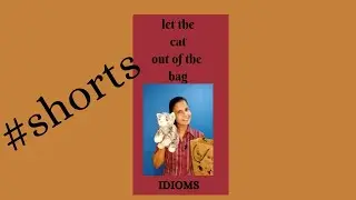 Idiom | LET THE CAT OUT OF THE BAG | English with Sam #shorts