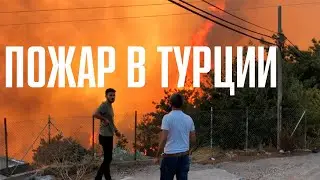 Пожар в Турции. По подозрению в поджогах задержали 6 человек. Пожар пошел в город