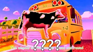 Wheels on The POLISH COW CoComelon || Sound Variations pt25