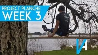 MAKING GAINS | Project Planche | Week 3