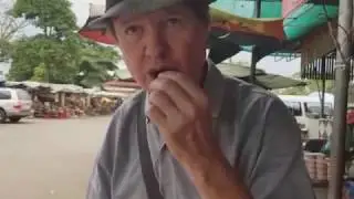 Eating a tarantula Spider