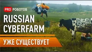 Russian Cyberpunk Farm уже существует. Роботы на фермах России