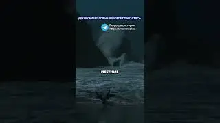 Движущиеся гробы в склепе плантатора #шортс
