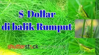 Dimanapun kita bisa berkarya | Foto jadi duit di shutterstock 
