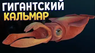 СЕКРЕТНЫЙ ГИГАНТСКИЙ КАЛЬМАР ( Feed and Grow: Fish )