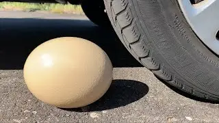 Crushing Crunchy & Soft Things by Car! EXPERIMENT- Car vs BIG EGG, Coca Cola, Fanta, Mirinda Balloon