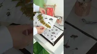 Распаковка цветов 💐 не забудь поставить лайк и подписаться