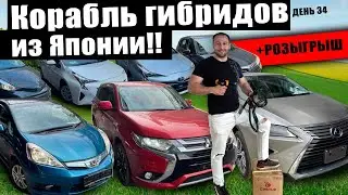 Большое поступление Гибридов из Японии - Свежий привоз - АвтоЗаказ!