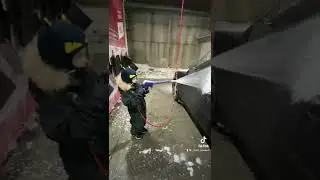 Красавчик моет не торопясь.