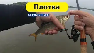 #мормышинг | Ловлю бель на озере |