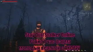 Stay Out/Stalker Online Ровно 1 час Фарма молодых верлиок с АКС74У