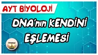 AYT Biyoloji | DNA'nın Kendini Eşlemesi ( Replikasyon) 