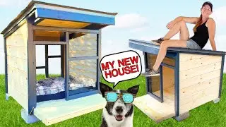 DIY Dog House | Modern Dog House with Sustainable Materials