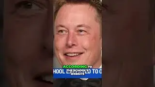 Elon Musk's New Montessori School  Revolutionizing Education in Bastrop
