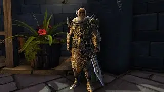 Квест на портал Фэйри | Neverwinter Online Мод.11