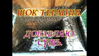 РОЕНИЕ ОСТАНОВЛЕНО!!! ДОБАВЛЯЮ СУШЬ ПОСЛЕ ШОК ТЕРАПИИ.