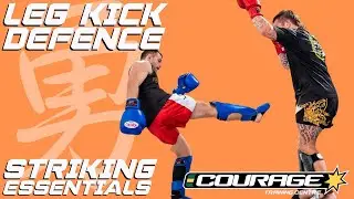 BASIC LEG KICK DEFENCE! STRIKING ESSENTIALS EP 12