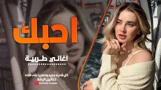 احبك ثم احبك ثم اغار عليك - احمد سليمان - اغاني طربية ( مطلوب اكثر شيء) 2024