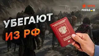 За ЧТО в РФ МОГУТ ЛИШИТЬ ГРАЖДАНСТВА? 🛑 Мигранты УМОЛЯЮТ НЕ ОТПРАВЛЯТЬ ИХ НА ФРОНТ