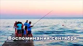 9 и 11 сентября на пляжах Архипо-Осиповки