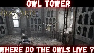 Owl tower of hogwarts, hogwarts legacy, 3 Missing field guide pages.