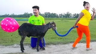Top New Comedy Video Amazing Funny Video 😂Try To Not Laugh Episode 235 By BusyFunLtd