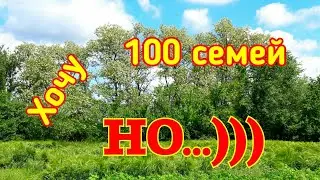 ХОЧУ 100)))... АКАЦИЯ.  ОТВОДКИ НА ДВЕ... ЛЕТКИ...