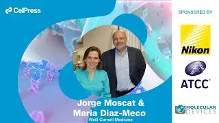 Jorge Moscat & Maria Diaz-Meco answer: What are the most relevant model systems for studying cancer?