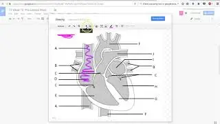 Using the drawing tool in Google Docs