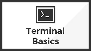 Bash Terminal Commands For Beginners