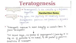 Teratogenesis | Handwritten notes