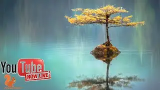 Beautiful Relaxing guitar music for Stress Relief, Meditation, Background Ambient Study Music #104