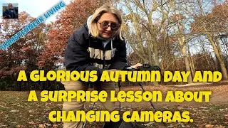A glorious autumn day led to a surprise lesson about distractions