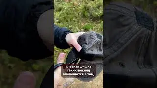 Ножницы ИНГРА