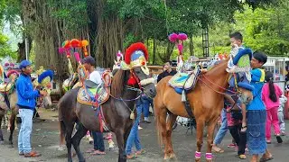 Seru banget Naik kuda di alun-alun Sumedang I Kuda delman I Kuda renggong I Horse carriage