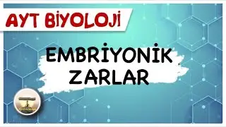 AYT Biyoloji | Embriyonik Zarlar #sayfa126