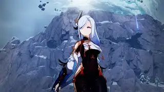 C6 Ayaka and Shenhe Destroy Everything