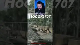 Багов нет #юмор #мем #short  #hocok #huntshowdown