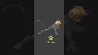 супер кот. ну а как ещё можно видео назвать?)