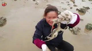 小漁出來趕海，搬開石頭幸運摸到了大八爪魚，把小漁嚇了一大跳 【渔小仙】